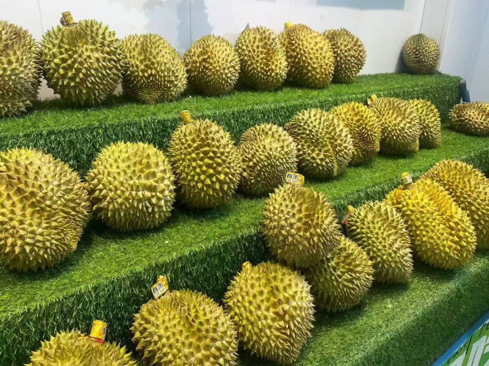 想开一家榴莲加盟店，目前市面上主流品牌盘点，聊聊真实入行门槛